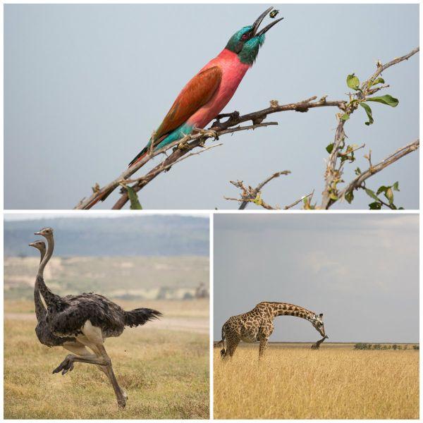 போட்டோகிராபி