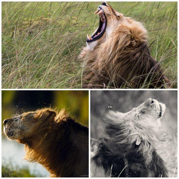 போட்டோகிராபி