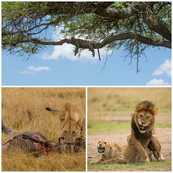 போட்டோகிராபி