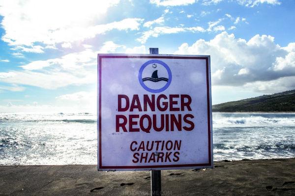 லா - ரீ யூனியன் தீவுகள் கடற்கரை