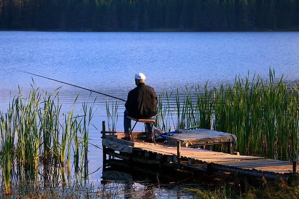 மீன் பிடித்தல்