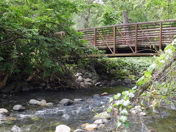 வாய்க்கால்