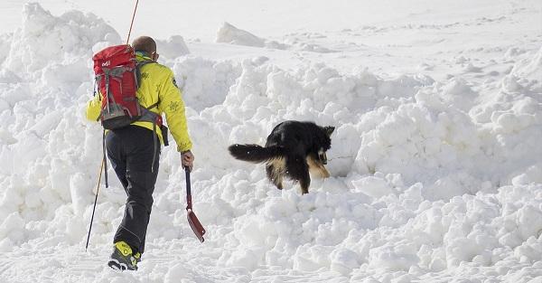 பனிச்சரிவில் சிக்கும் மனிதர்கள்