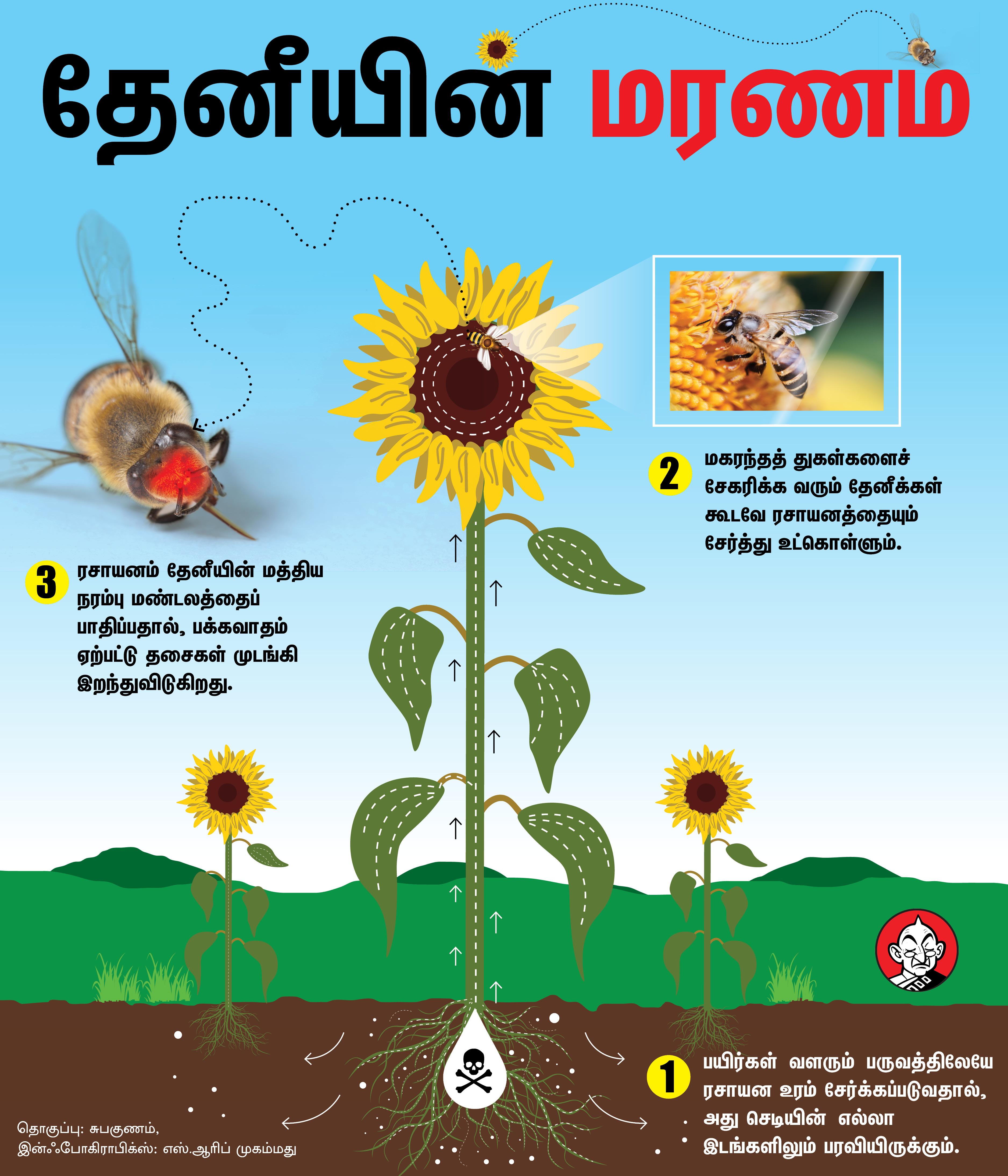 இன்ஃபொஇகிராபிக்ஸ்