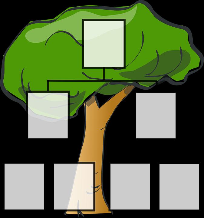 ஃபேமிலி ட்ரீ