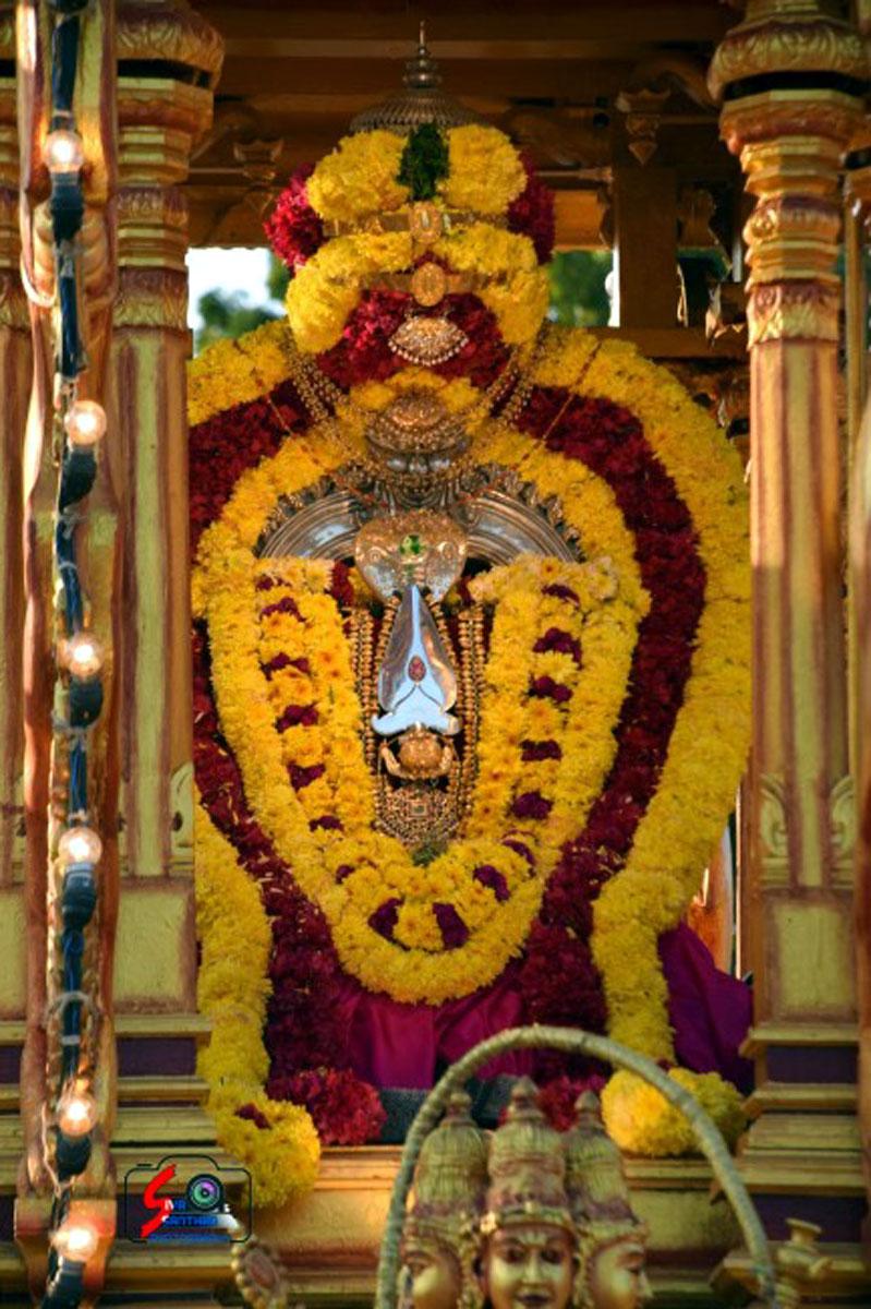 வேலாக முருகன்