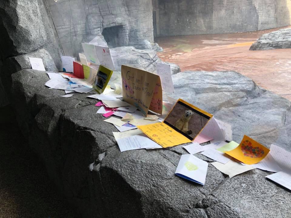 இனுக்கா