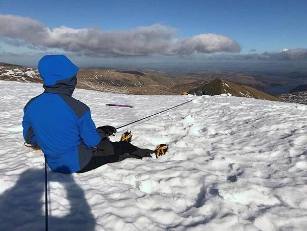 பனிமலை - நாய்