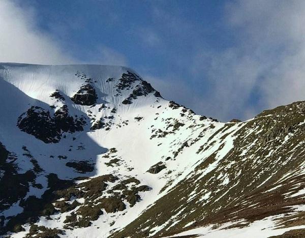 பனிமலையில் மீட்கப்பட்ட நாய்கள்