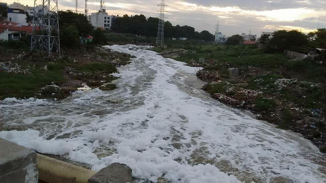 நொய்யலில் நுரை