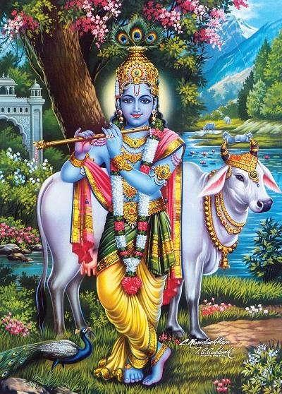 குழல் ஊதும் கண்ணன்