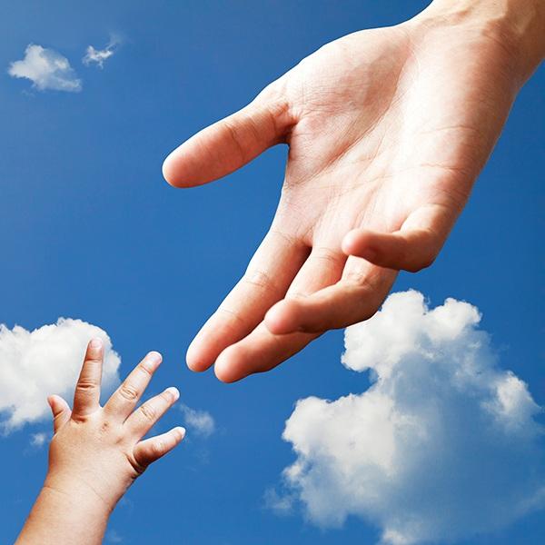 பரிதவிப்பு