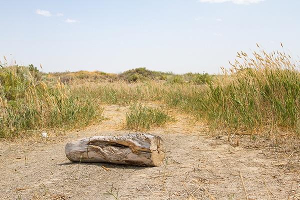 மரக்கட்டை