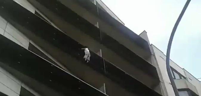 சிறுவன்