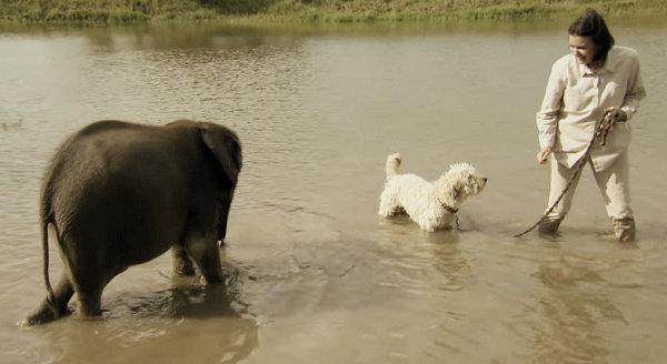 மோயோ - ராக்ஸி