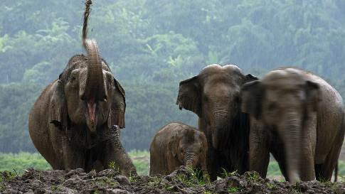 முதலை முதல் மனிதன் வரை