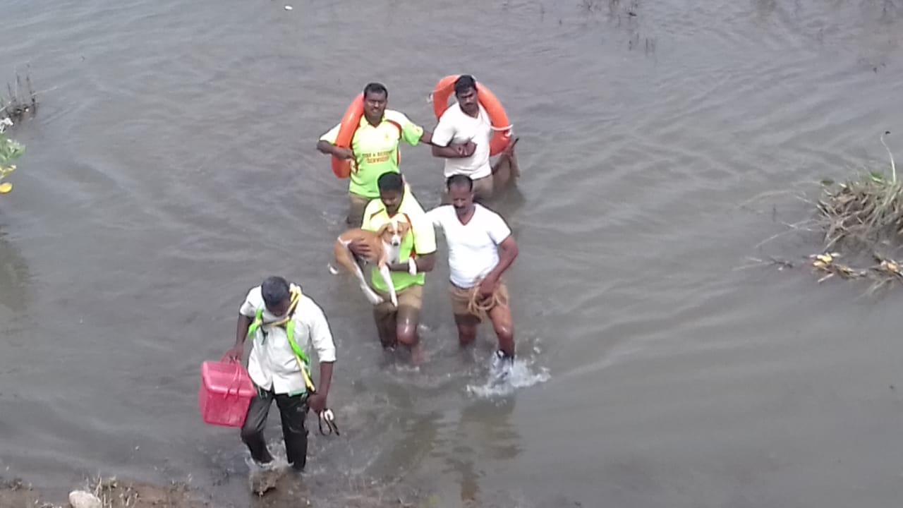 காவிரி காவிரி