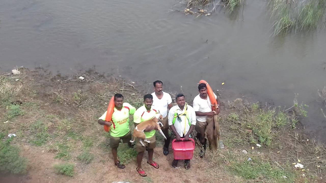 காவிரி காவிரி