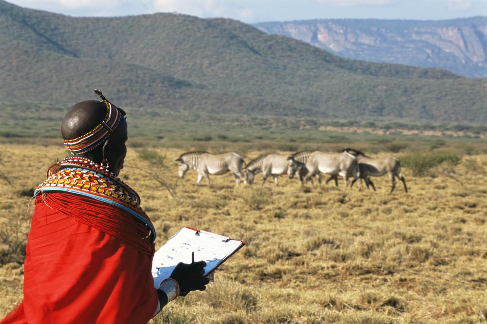 கிரேவி ஜீப்ரா அறக்கட்டளை