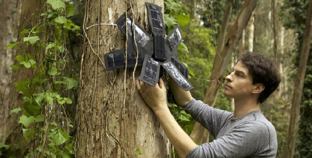 ``மழைக்காடுகளைக் காப்பாற்றிய பழைய செல்போன்கள்!