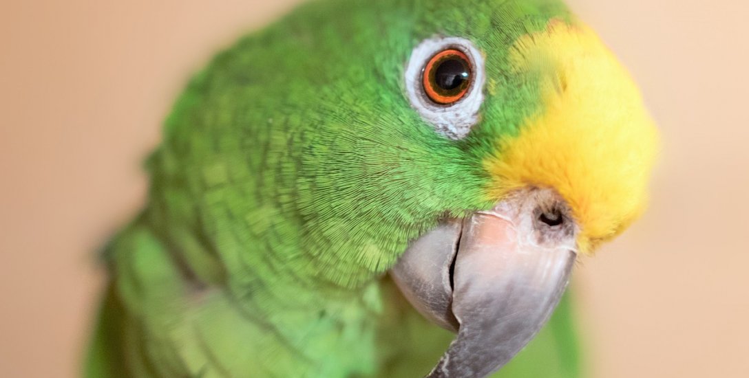 சிக்கலான தருணத்தை எதிர்கொள்வது எப்படி? - யதார்த்தம் சொல்லும் கதை #MotivationStory