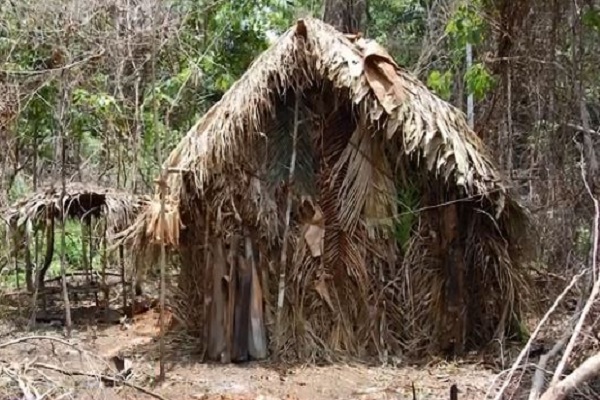 பழங்குடியினர்