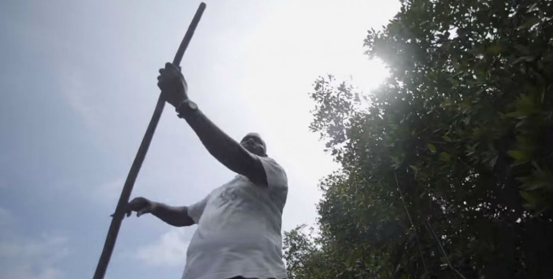 தனி ஒருவனாய் 16 ஆண்டுகளாக காடு வளர்த்து ஒரு நாட்டையே மாற்றியவர்... யார் இந்த மாங்குரோவ் மாஸ்டர்?