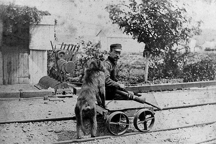 ஜேம்ஸ் ஜாக் பபூன்