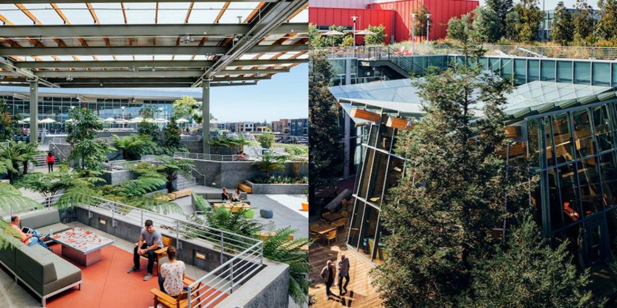 ஃபேஸ்புக் அலுவலகம்