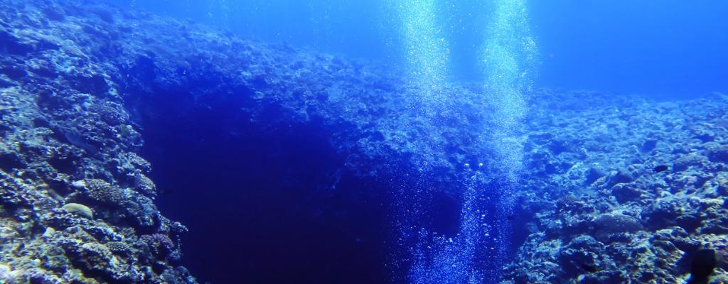 கடல் தரை