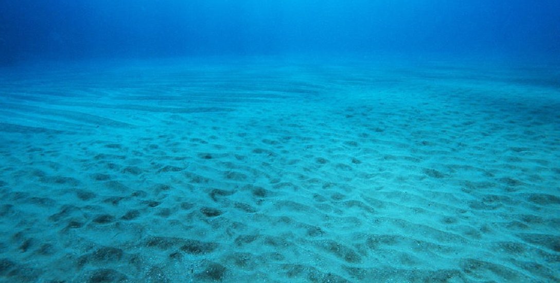 அட்லாண்டிக்கை அச்சுறுத்திய கடல் தரை அழிவு... இதோ இந்தியாவில்...