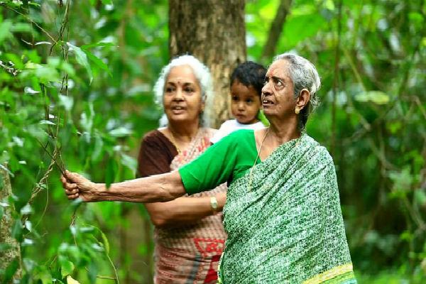 மரம் - தேவகி - தேசிய விருது