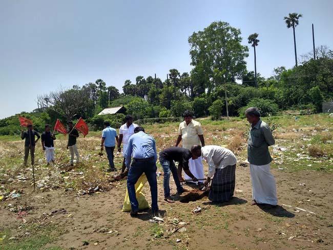 பனை விதை சேகரிப்பு