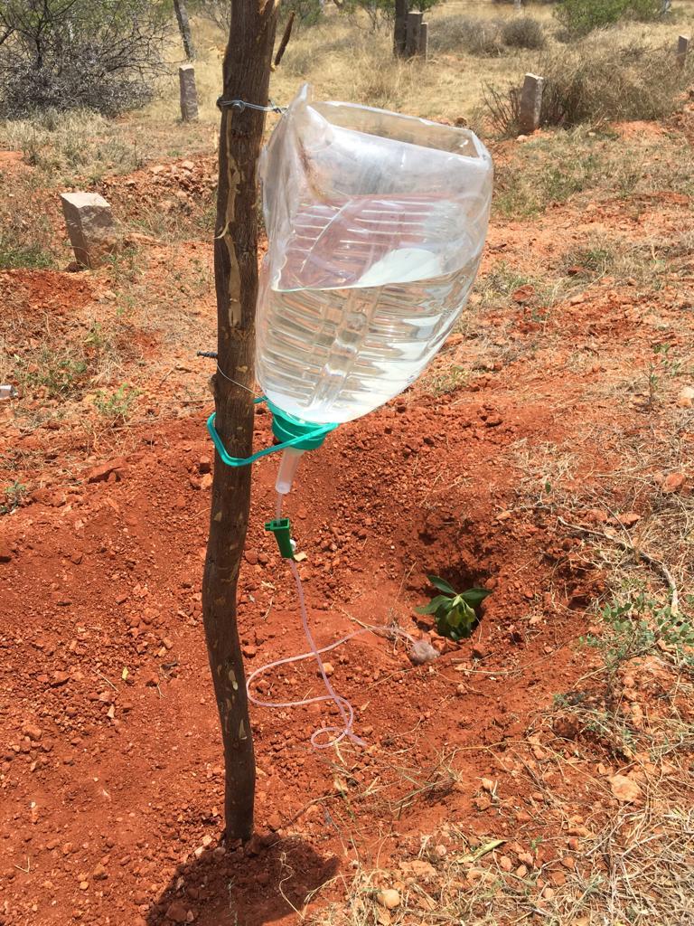 தண்ணீர் ட்யூப்