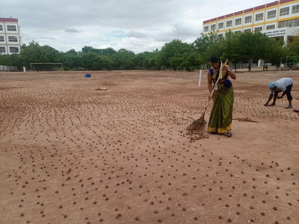 4 லட்சம் விதைப்பந்துகள்