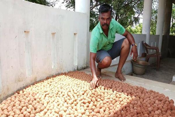 விதைப்பந்து