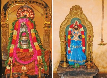 மகா சிவராத்திரி தரிசனம்! - தோஷங்கள் நீங்கும் செல்வம் செழித்தோங்கும்! மகா சிவராத்திரி தரிசனம்! - தோஷங்கள் நீங்கும் செல்வம் செழித்தோங்கும்!